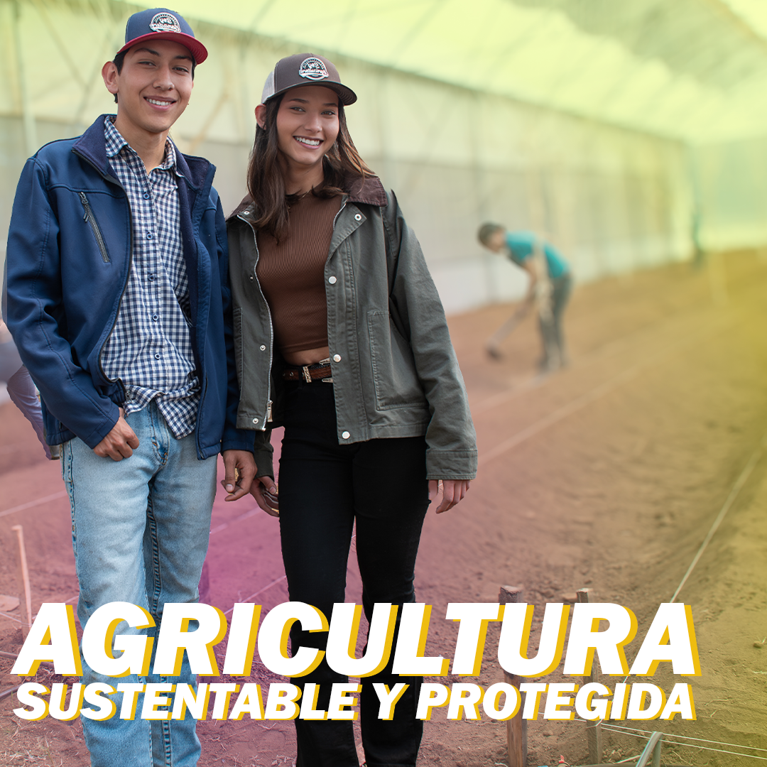 Ingeniería en Agricultura Sustentable y Protegida