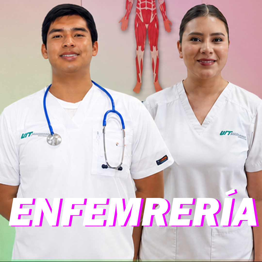 Licenciatura en Enfermería 